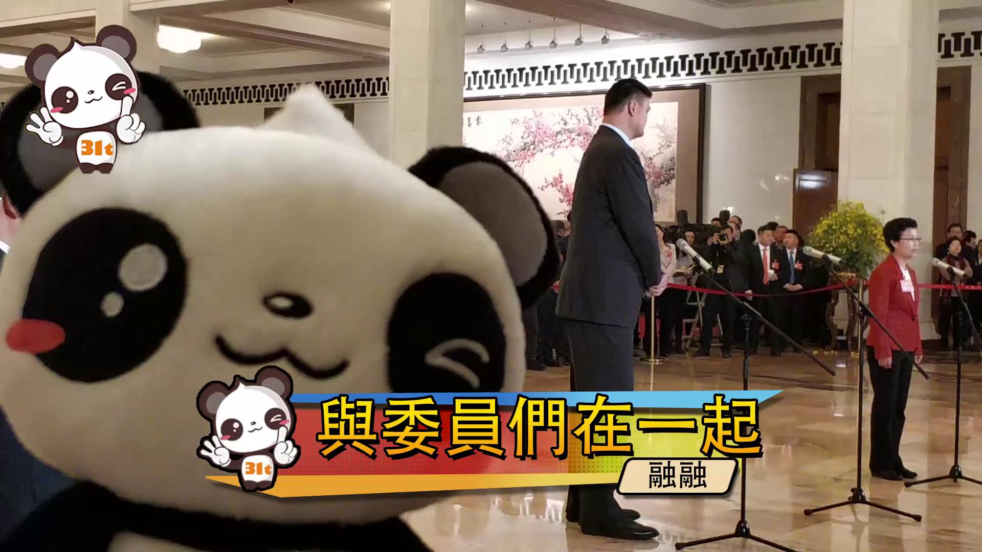 【融融看两会】一起遇见明星委员图片